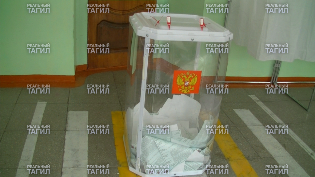 выборы голосование