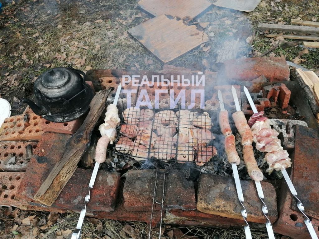 Тагильчанам запретили ходить в лес и жарить шашлык