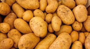 Цены на картофель в РФ выросли в 2,8 раза из-за дефицита