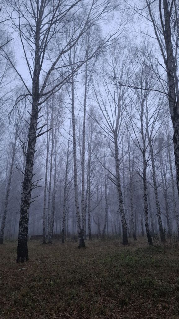 Первоуральцам рекомендовали промывать нос и глаза из-за смога