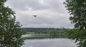 Уровень воды в Первоуральске снижается: число подтопленных участков сократилось до 11