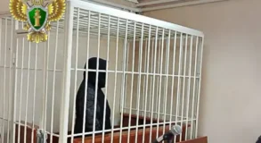 меф