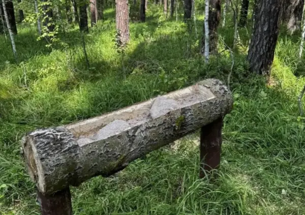 Свердловские заповедники готовят кормовую базу для животных к зиме 2026–2027