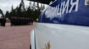 Экс-начальник ГИБДД Шалинского района пойдет под суд за березовые дрова