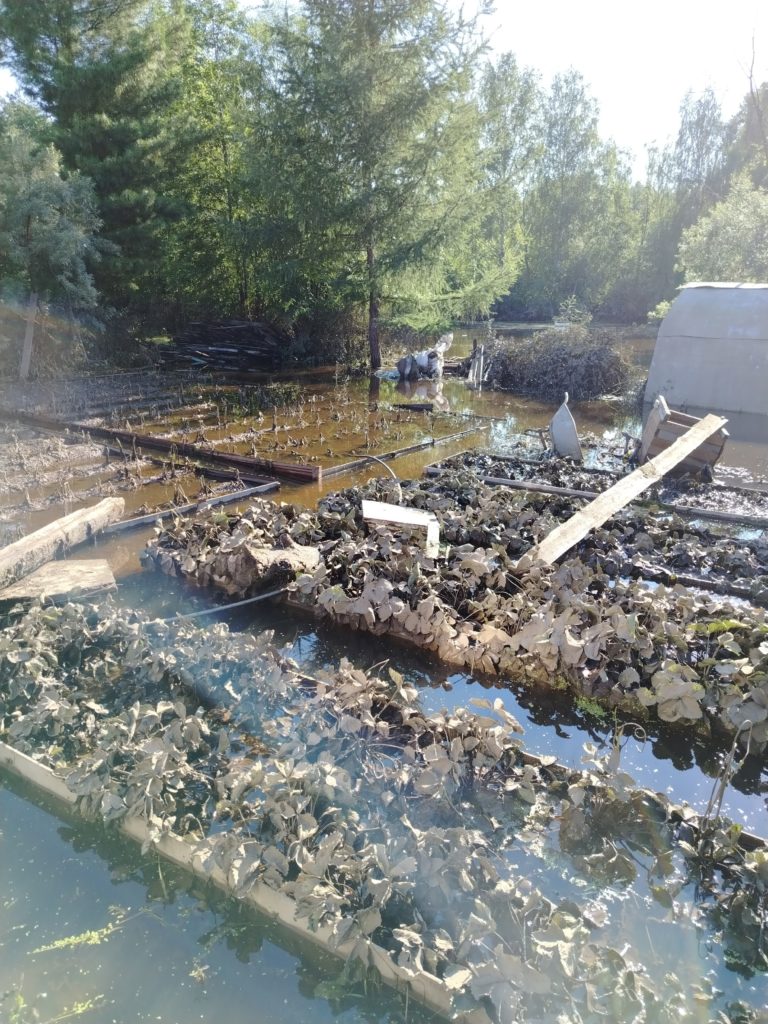 СНТ шахтер паводок потоп вода