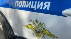 В Екатеринбурге трое иностранцев обвиняются в разбое в отношении школьников